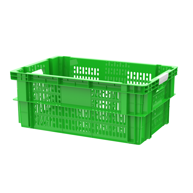 Sóng hở 2 màu 2T4 - No.1337